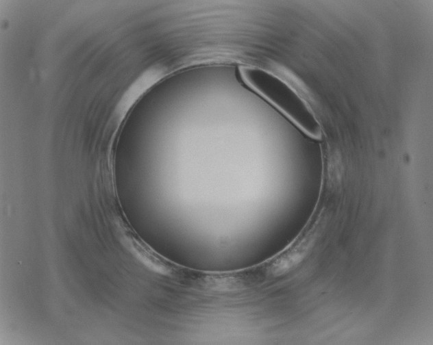 X0000071901242200607281755