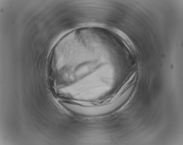 X0000071901244200607281755