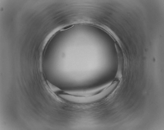 X0000071901246200607281755