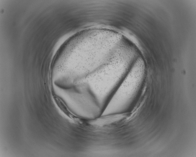 X0000071901247200607281755