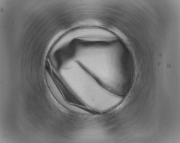 X0000071901248200607281755