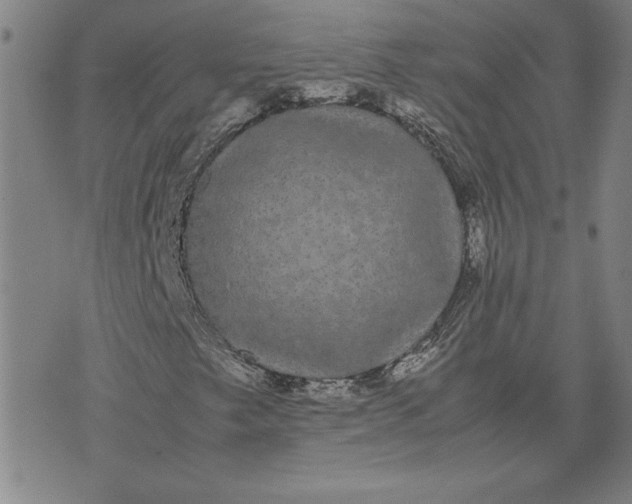 X0000071901249200607281755