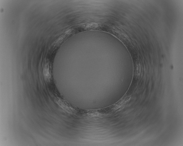 X0000071901250200607281755