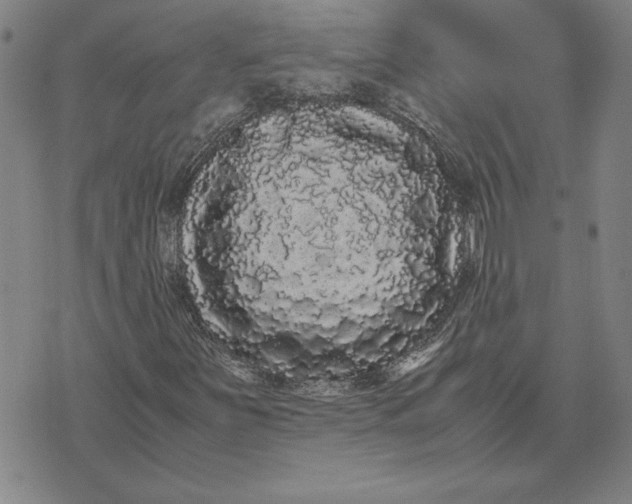 X0000071901251200607281755