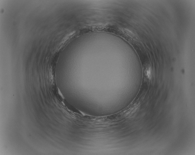 X0000071901252200607281755