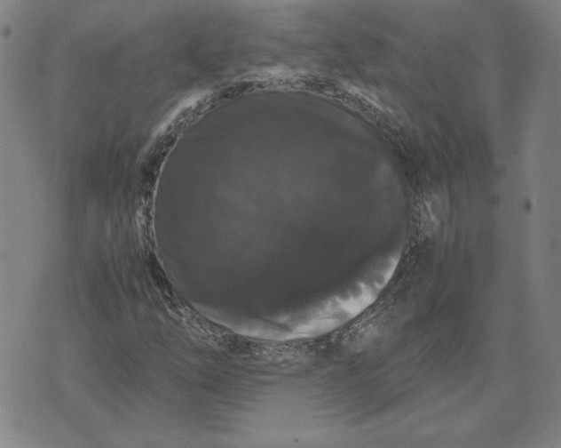 X0000071901254200607281755