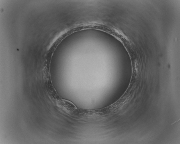 X0000071901256200607281754