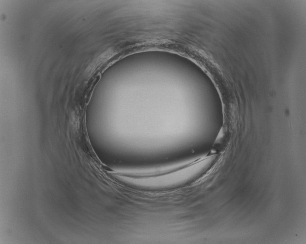 X0000071901257200607281754