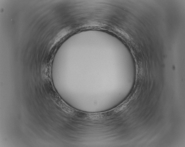 X0000071901258200607281754