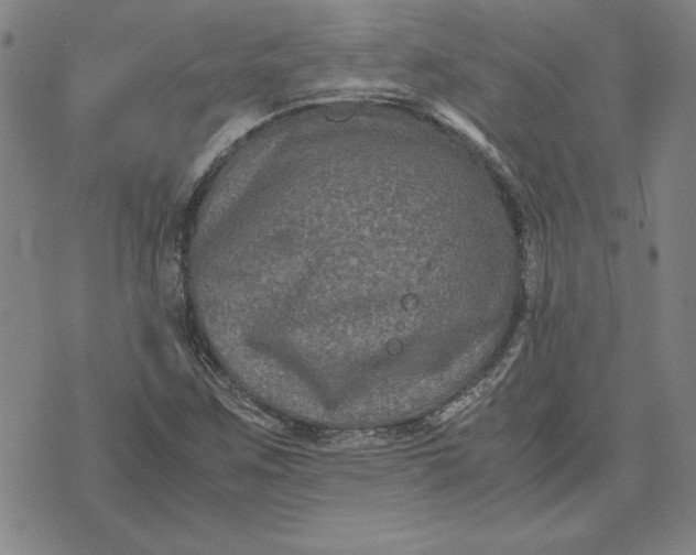 X0000071901259200607281754