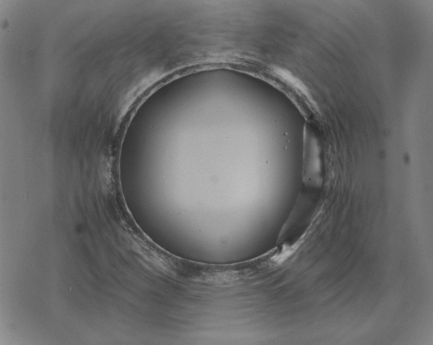 X0000071901260200607281754