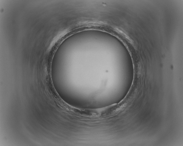 X0000071901261200607281754