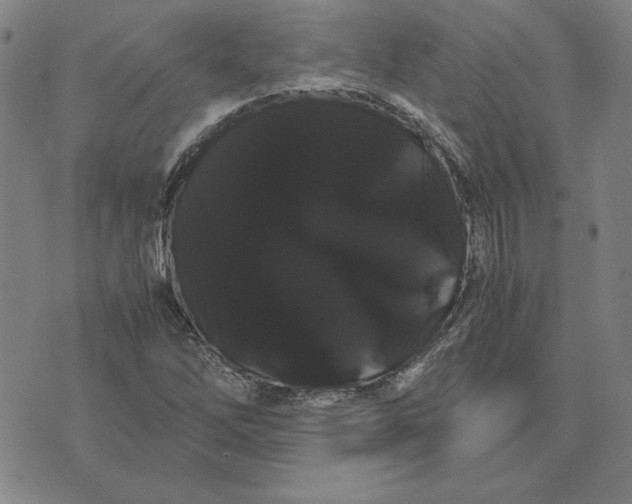 X0000071901262200607281754