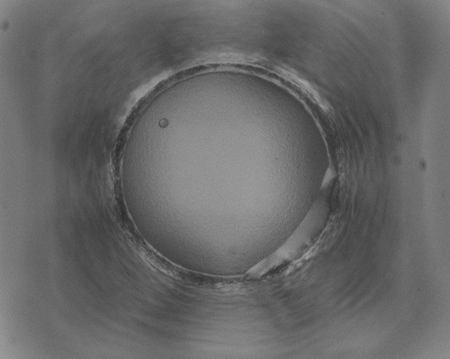 X0000071901264200607281754