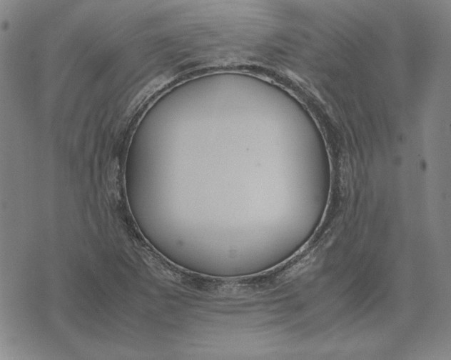 X0000071901265200607281754