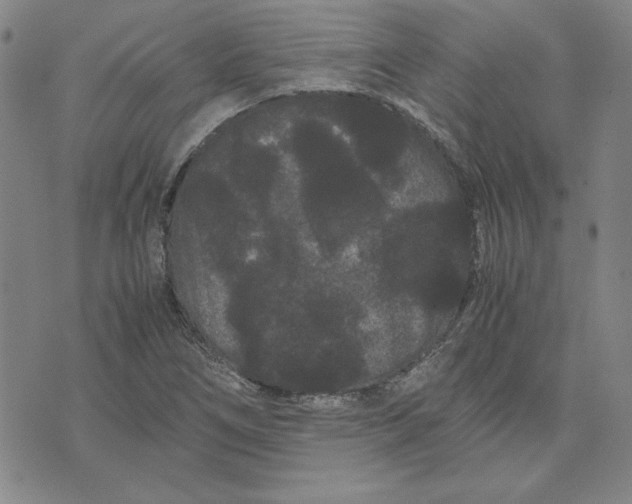 X0000071901266200607281754