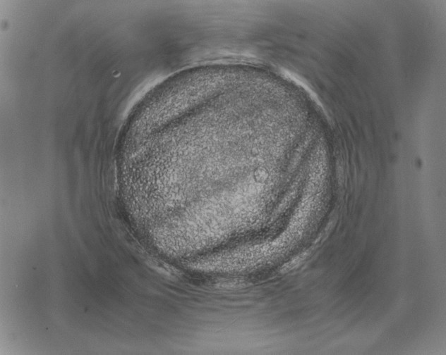 X0000071901267200607281754