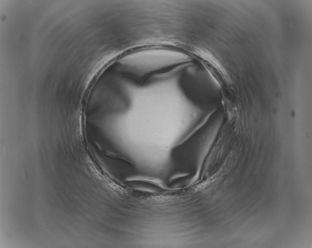 X0000071901268200607281754