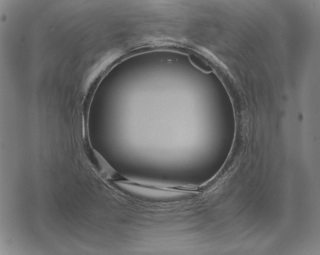 X0000071901269200607281754