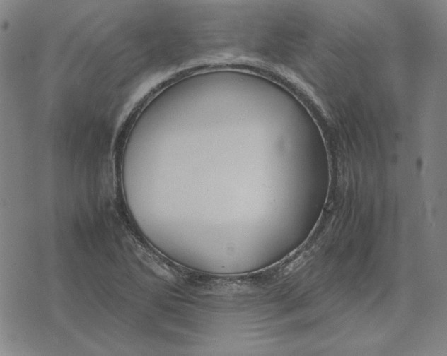 X0000071901270200607281754