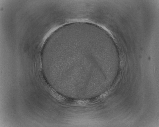 X0000071901271200607281754