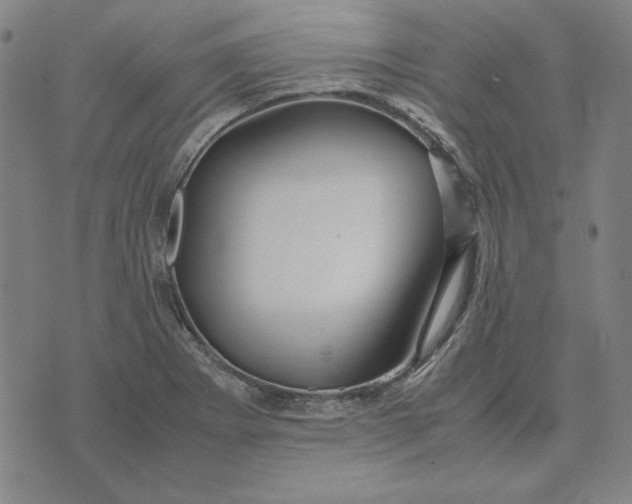 X0000071901273200607281754