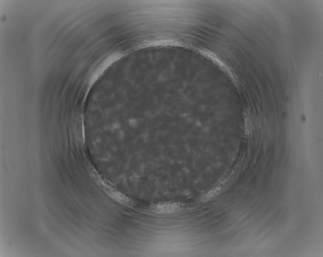 X0000071901274200607281754