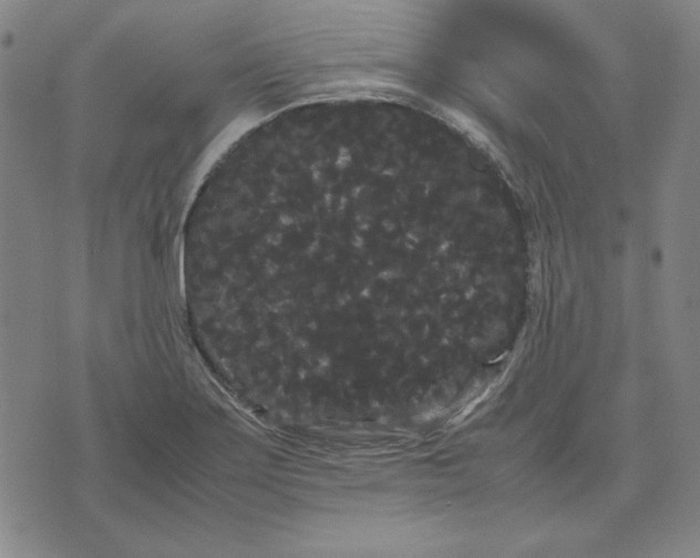 X0000071901275200607281754