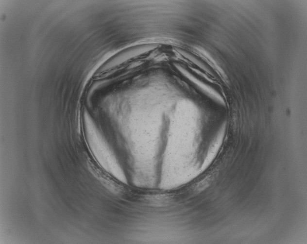 X0000071901276200607281754