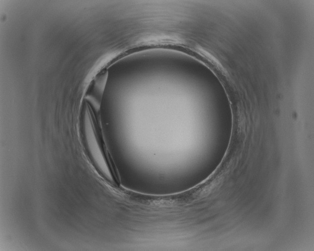 X0000071901277200607281754