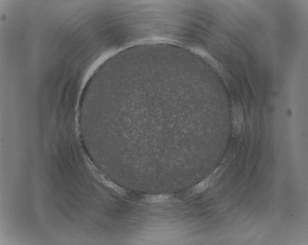 X0000071901278200607281754