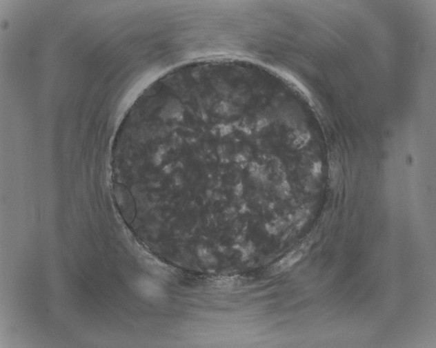 X0000071901279200607281754