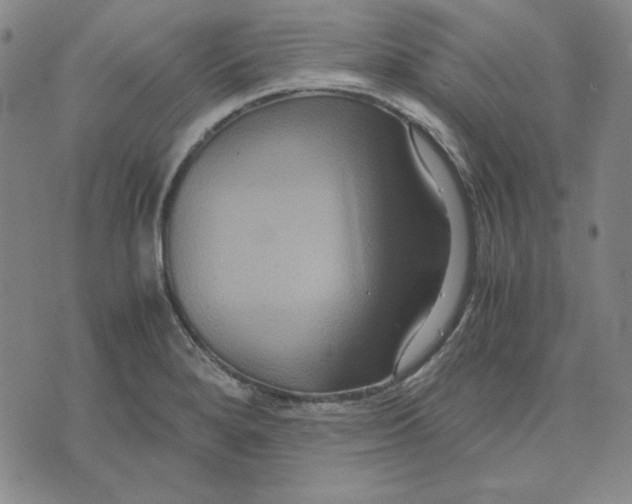 X0000071901280200607281754