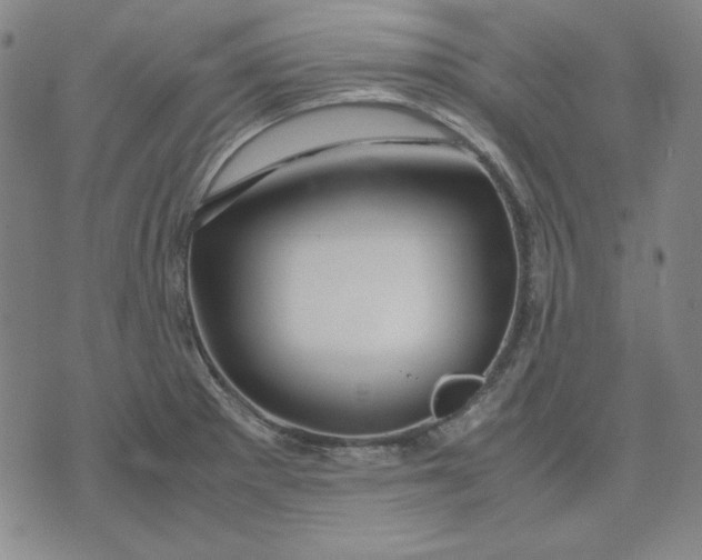 X0000071901281200607281754