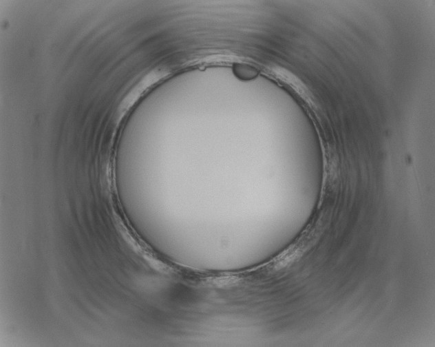 X0000071901282200607281754