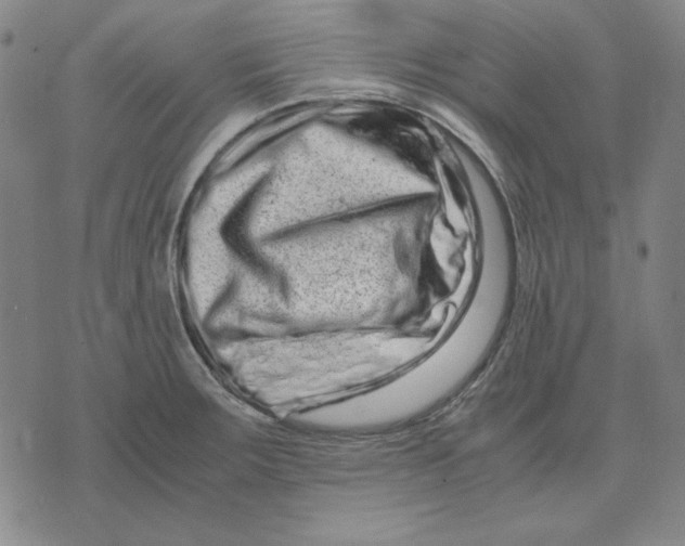 X0000071901283200607281754