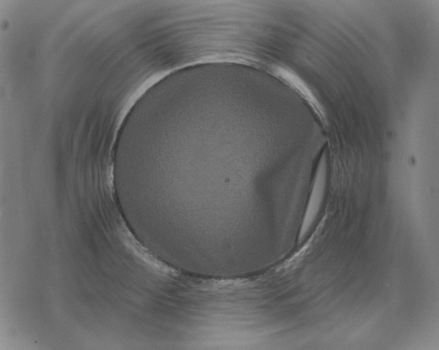 X0000071901284200607281754