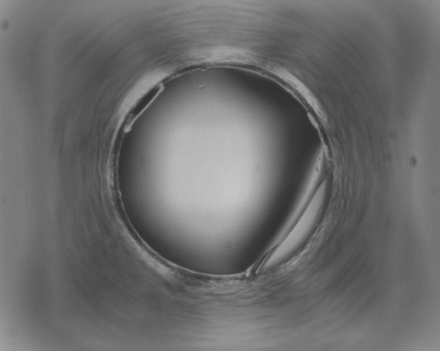 X0000071901285200607281754