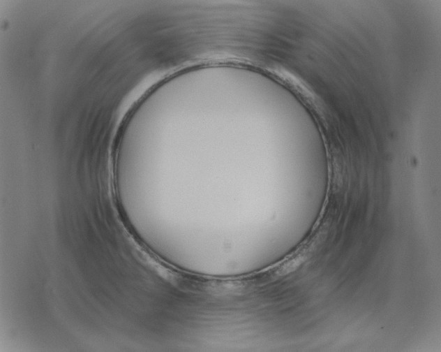 X0000071901286200607281754