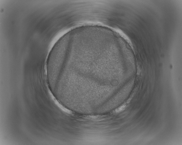 X0000071901287200607281754