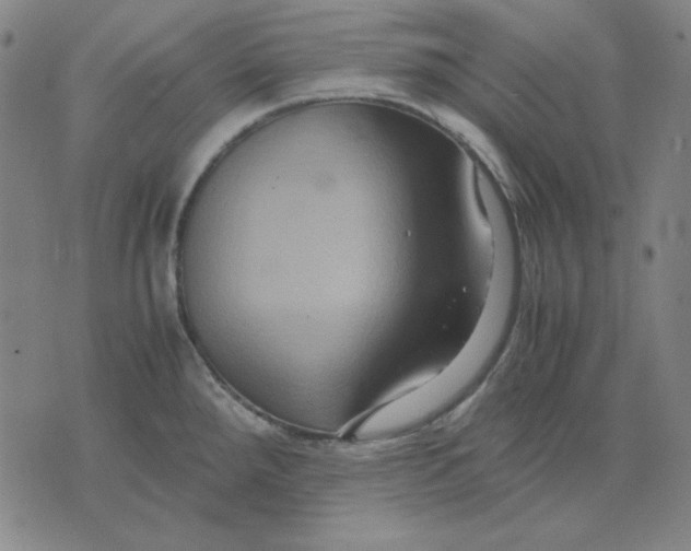 X0000071901288200607281754