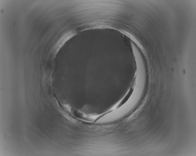 X0000071901289200607281754