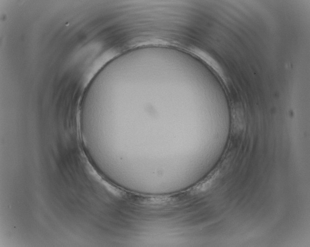 X0000071901290200607281754