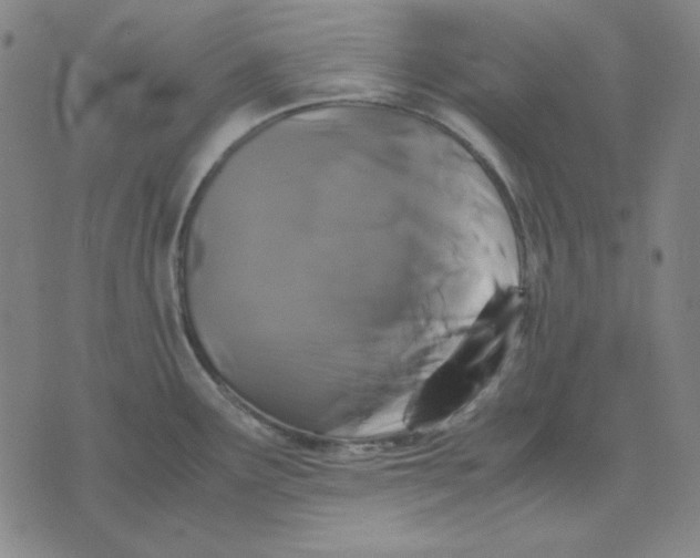 X0000071901291200607281754