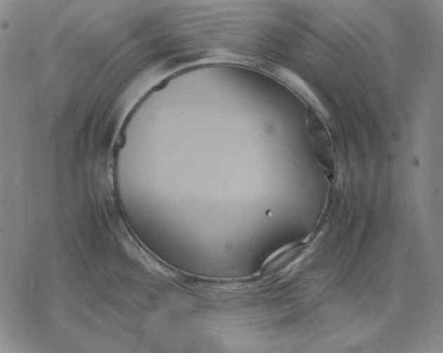 X0000071901292200607281754