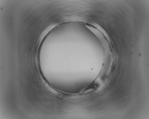 X0000071901293200607281754