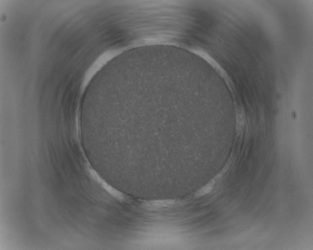 X0000071901294200607281754