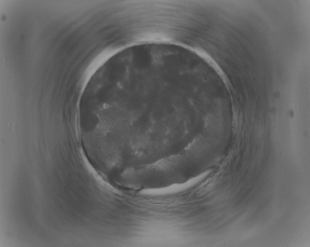 X0000071901295200607281754