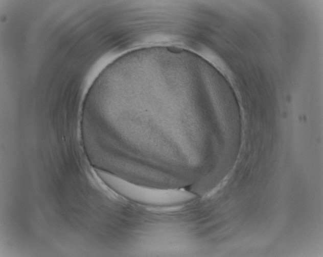 X0000071901296200607281754