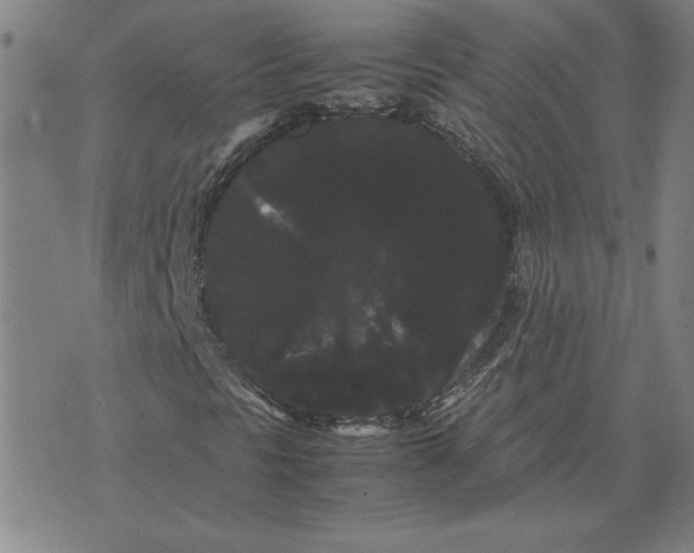 X0000071901297200607281753